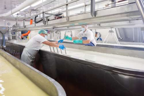 Inside Faribault Cheese plant