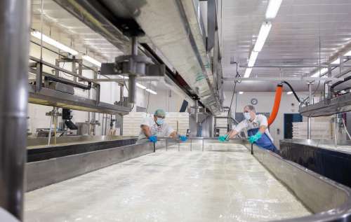 Inside Faribault Cheese plant