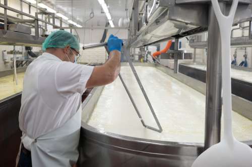 Inside Faribault Cheese plant
