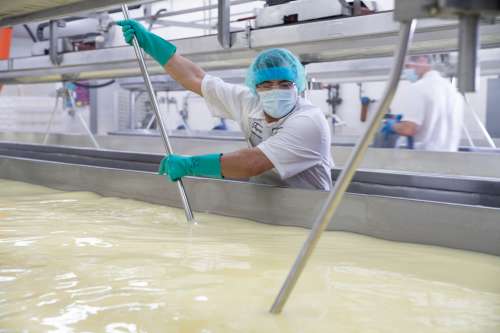 Inside Faribault Cheese plant