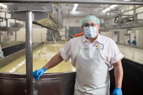 Inside Faribault Cheese plant