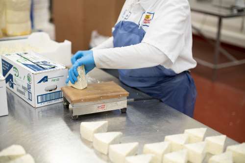 Inside Faribault Cheese plant