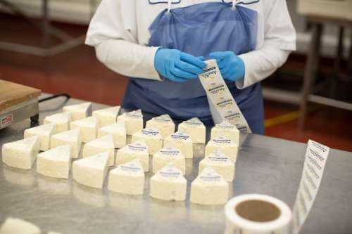 Inside Faribault Cheese plant