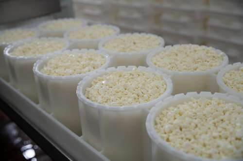 Inside Faribault Cheese plant