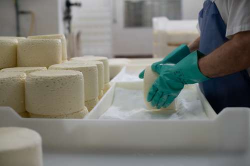Inside Faribault Cheese plant