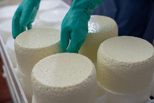 Inside Faribault Cheese plant