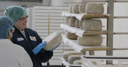 Inside Faribault Cheese plant