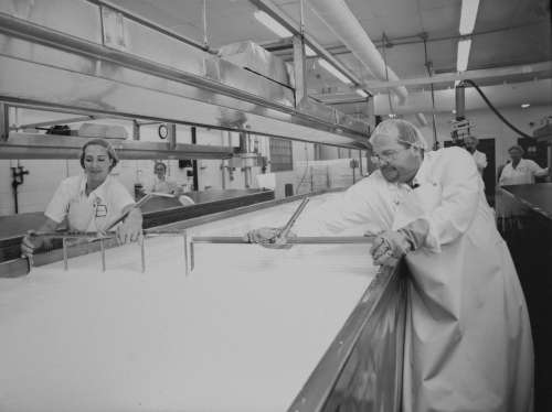 Inside Faribault Cheese plant