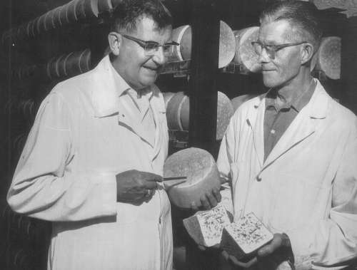 Inside Faribault Cheese plant