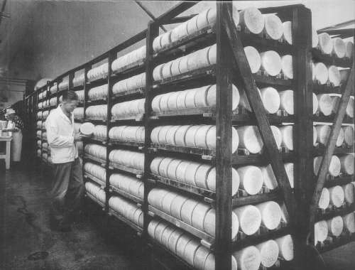 A man holding a wheel of cheese