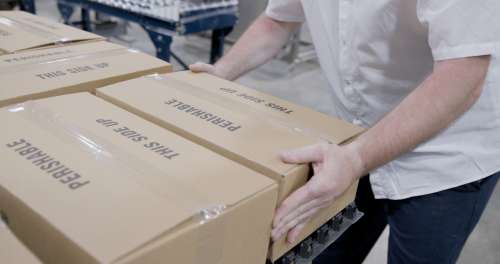 Inside a cheese plant