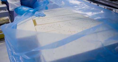 Inside a cheese plant