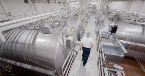 Inside a cheese plant