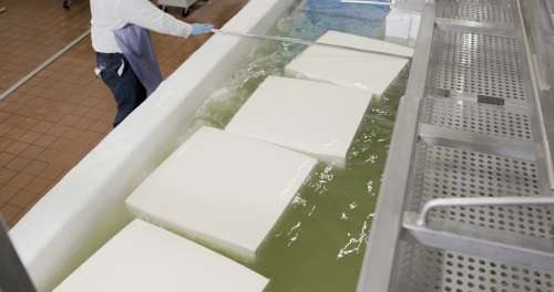 Inside a cheese plant