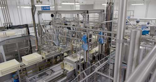 Inside a cheese plant