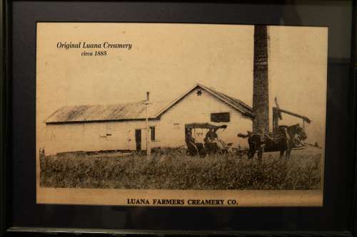 Inside a cheese plant