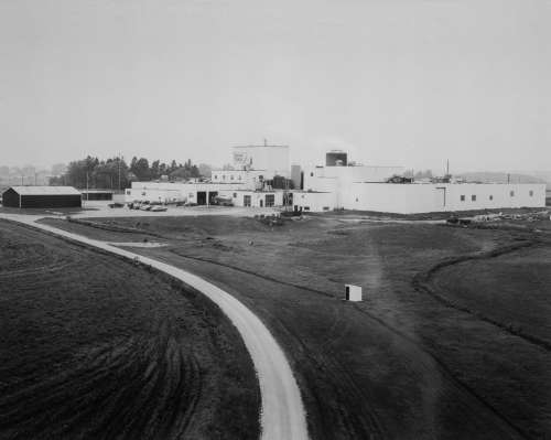 Inside a cheese plant