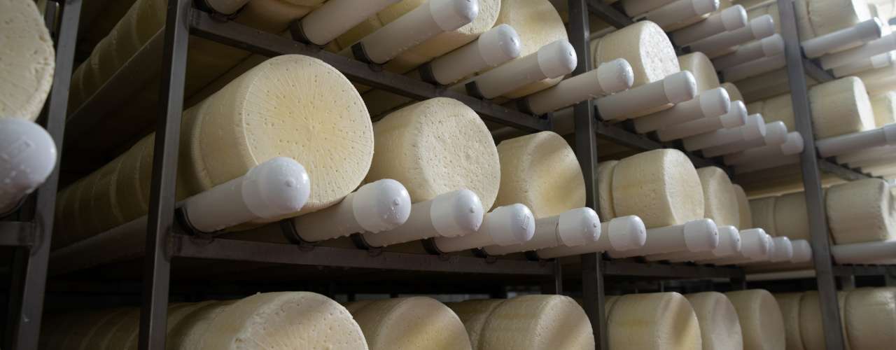 Photo of cheese wheels