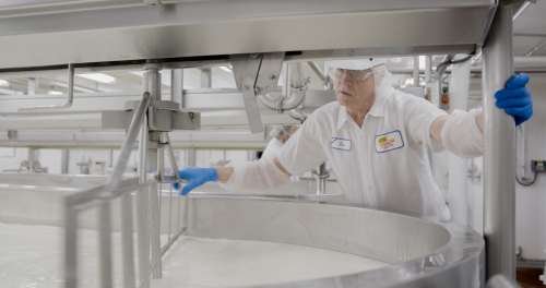 Mindoro Cheese plant