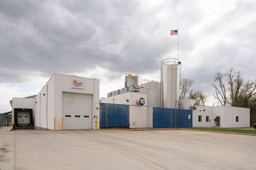 Mindoro Cheese plant