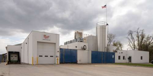 Mindoro Cheese Plant