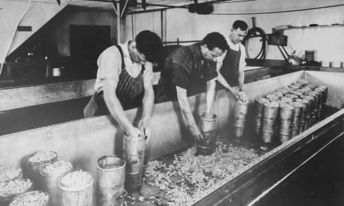 Shullsburg Cheese plant