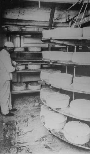 Shullsburg Cheese plant