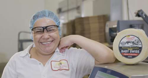Whitehill Cheese Plant