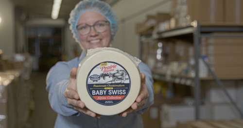 Whitehill Cheese Plant