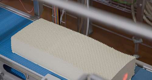 Whitehill Cheese Plant