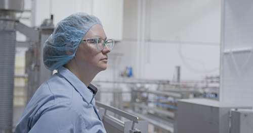 Whitehill Cheese Plant