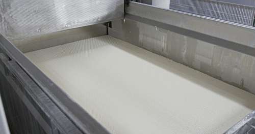 Whitehill Cheese Plant