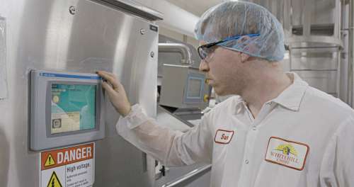Whitehill Cheese Plant