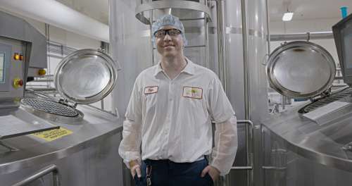 Whitehill Cheese Plant