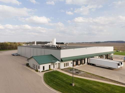 Whitehill Cheese Plant