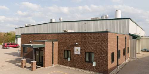 White Hill Cheese Plant